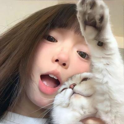 科搜研之女第24季